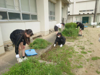 DSC_2379